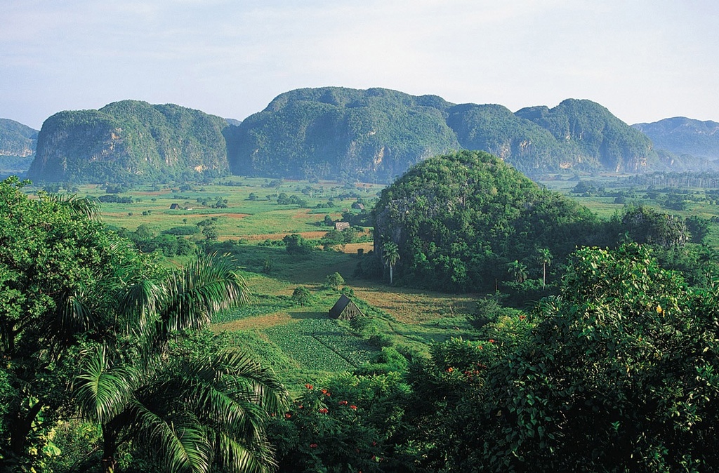 EXCURSION A VIÑALES