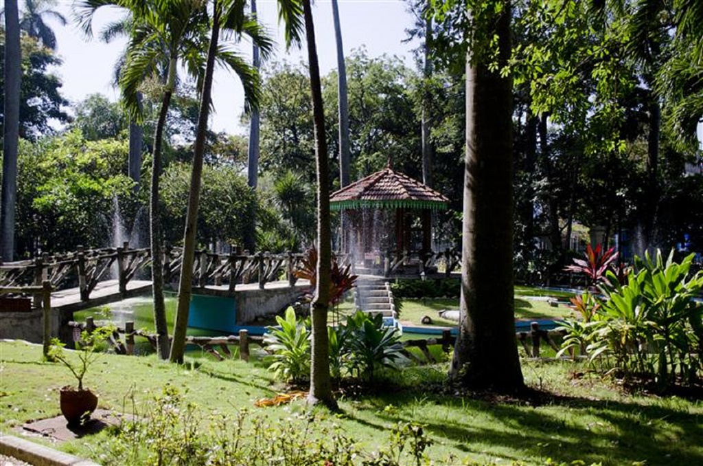 HAVANA ALSO GREEN